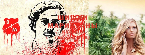 прущие крисы Дмитров