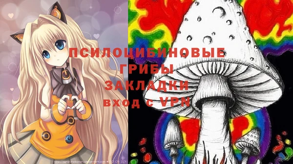 прущая мука Дмитриев